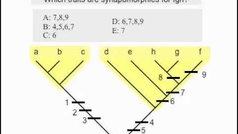 BIS2C 2012 Lecture 3: Characters in phylogeny