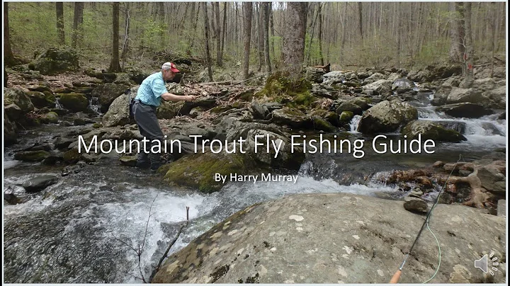 Mountain Trout Fly Fishing Guide