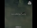 Healing Quran Recitation for Heart Serenity and Deep Soul Relaxation #HolyQuran #Peaceful