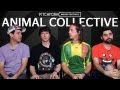 Animal Collective - Interview - Pitchfork Music Festival 2011