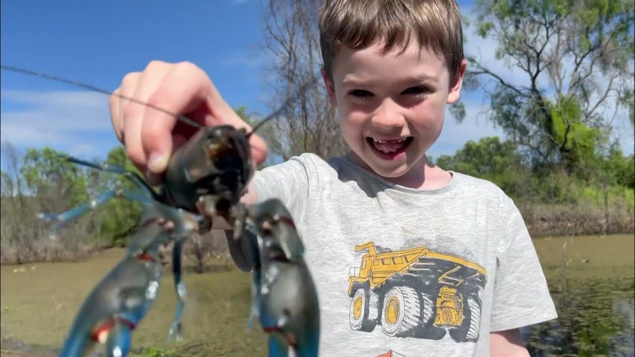Blue Claw Yabbies Releasing the Girls YouTube