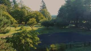 12500 NE Grantham Rd video tour