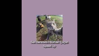 Sen neredesin-Burhan Çaçan Speed up (Herkes mutlu hayatında) #midzy #once #itzy #keşfet Resimi