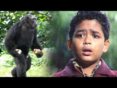 సాహస బాలుడు విచిత్ర కోతి | Sahasa Baludu Vichitra Kothi Movie Back to Back Scenes | iDream