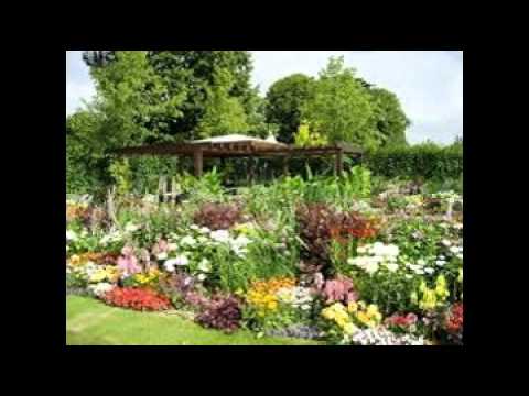 Flower Garden Design Ideas