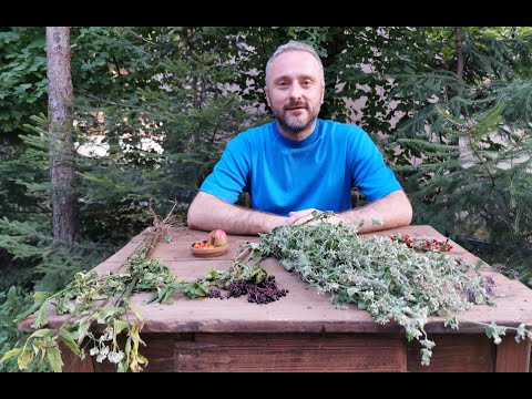 Video: Korišćenje trave za kosu: kako uzgajati čupavu travu u pejzažu