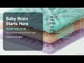 Neural Tube Explained: The Start of Baby's Brain &amp; Spine #Shorts