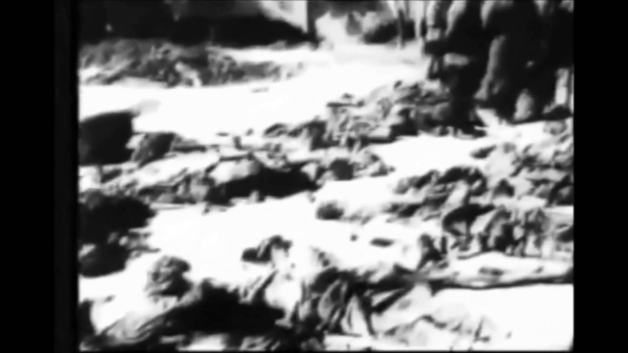 Human Serpent - Decay (Live* - Fan Video)