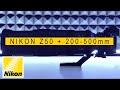 Nikon Z50 with Nikon 200-500 mm