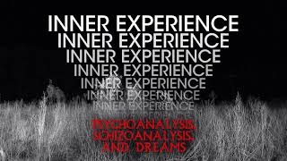 Inner Experience: Psychoanalysis, Schizoanalysis, and Dreams
