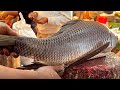 Amazing Fish Cutting Skills | Fastest Big Rohu Fish Cutting By Expert Fish Cutter