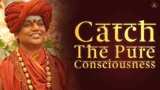 Catch The Pure Consciousness