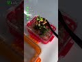 Buddha Bowl in less than 20 seconds!🤓🌱🥗 #zerowaste #zerowastefood #zerowastmealprep #zerowasterecipe