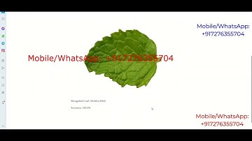 Types Of Medicinal Leaf Recognition Using Image Processing | Python Project With Source Code