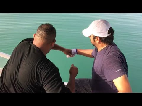 حداق هامور الكويت