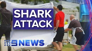 Two British tourists savaged by shark in Whitsundays | Nine News Australia