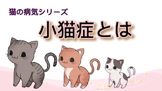 【猫】小猫症とは【雑学】dwarfism