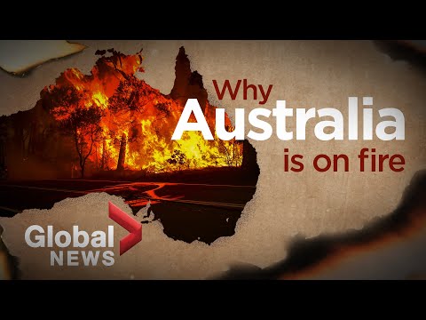 Wideo: Czy skończył się pożar buszu w Australii?