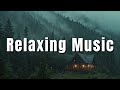 Light Rain and Thunder 🌧️ in the Forest for Deep Sleep (4 Hours)