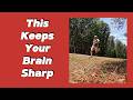 Why Hills and Uneven Ground Are So Good for Your Aging Brains