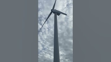 Điện gió Bạc Liêu(cận cảnh)