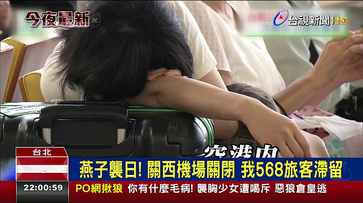 燕子袭日!关西机场关闭我568旅客滞留 - 天天要闻