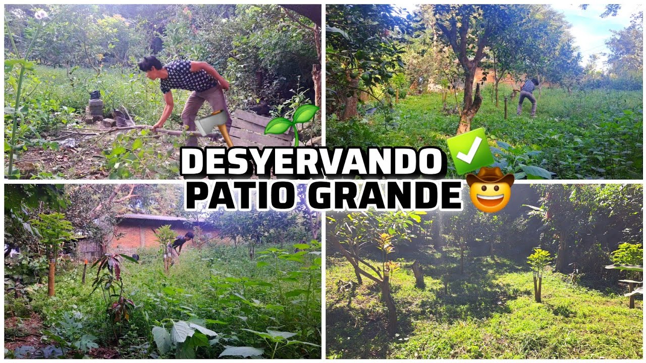 LIMPIANDO el GRAN PATIO que Tenemos en la CASA 🏡✨️ Mini Huerta 🌱