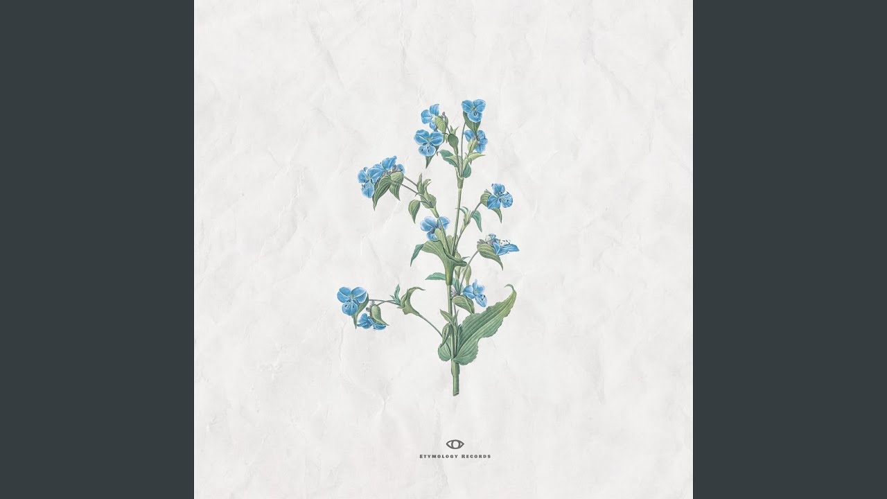 Regardez Des Fleurs sur YouTube