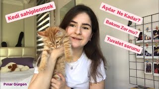 Kedi Sahiplenmeden Önce Ne Yapmalı? | Aşılar ne kadar? | Bakımı zor mu? #satınalmasahiplen