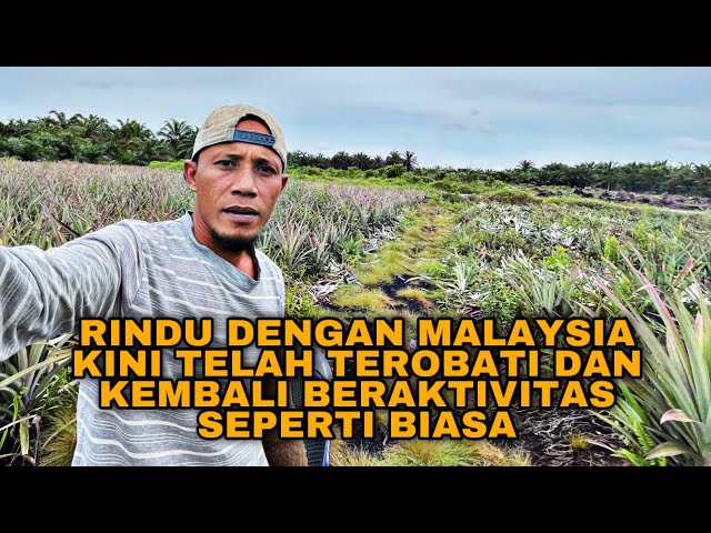 RINDU DENGAN MALAYSIA KINI TELAH TEROBATI DAN KEMBALI BERAKTIVITAS SEPERTI BIASA class=