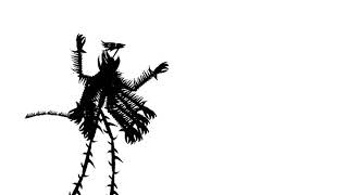 The Planet Roamed From 3 Test