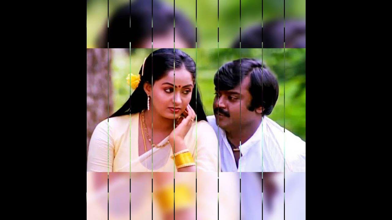poova eduthu oru mala thoduthu vijayakanth and Radha Tamil love songs and bgm what's app status poova eduthu oru mala thoduthu vijayakanth and Radha Tamil love songs and bgm what's app status