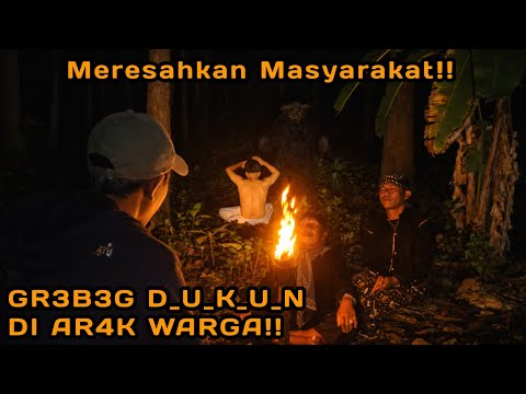 Suara burung Lovebird ini ampuh bikin labet apapun ikut bunyi,pancingan lovebird ngekek panjang