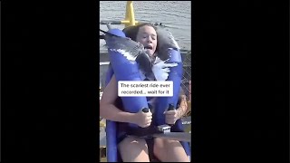 Seagull flies into girl riding slingshot ride