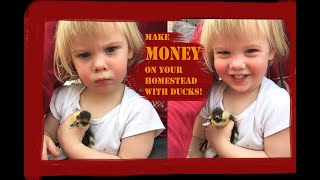 How to Make Money on Your Homestead with Ducks