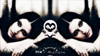 Pik Neyləyim Mp3 2020