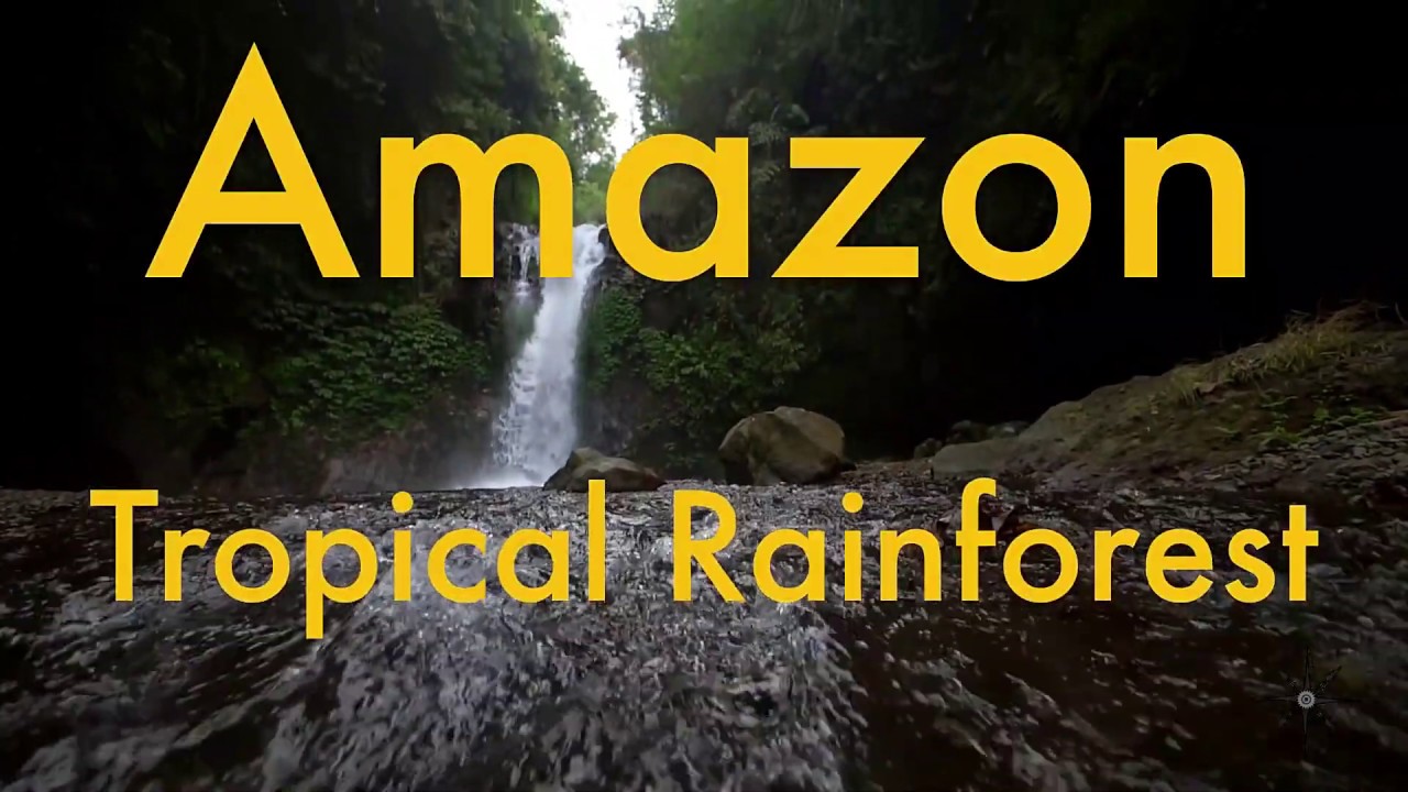 Amazon Tropical rainforest Explained தமிழ் tamil தமிழ் YouTube