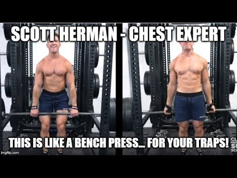 weightlifting exercises ScottHermanFitness 67% FASTER TRAPS GROWTH Is Not A Viable Solution To Small Traps