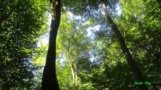 Dès Le Matin La Nature Mappelle À Firminy-Vert Le 31 Juillet 2022