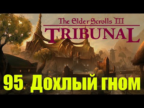 Видео: Morrowind за недомага 95 Дохлый гном