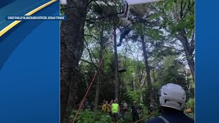 Glider pilot gets stuck in tree after crash in White Mountains, Fish & Game says