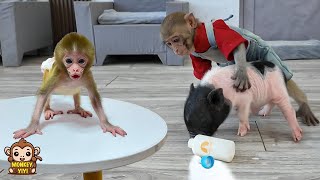 YiYi so angry when piglet drank all the baby monkey's milk