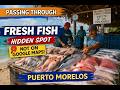 Hidden Fish Market Puerto Morelos 🇲🇽 Fresh Catch (Not on Google Maps)