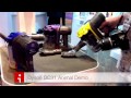 Dyson DC31 Animal handheld cleaner demo/review