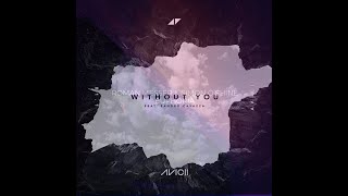 Roman Messer & Simon O'Shine Vs Avicii Ft. Sandro Cavazza - Euphoria Vs Without You (Mashup)