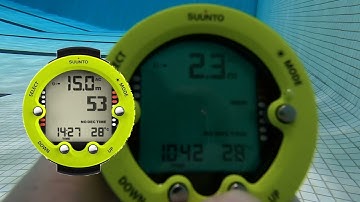 4/9 - During the dive