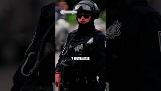 Encuentran 50 Vehículos Robados En Bodega De Valsequillo