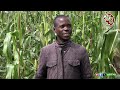 BAMWE BO MU MIRYANGO Y'ABATWA BO MU RWIBAGA BAHAMAGARIRA ABANDI GUKORERA HAMWE NGO BITEZE IMBERE