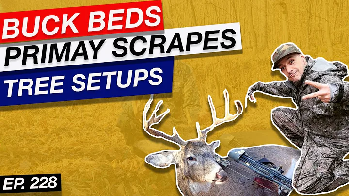 Buck Bedding, Primary Scrapes & Tree Setups - Greg...