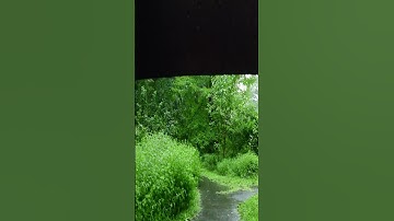 تلاوات مختارة / يونس اسويلص (هَلْ يَنظُرُونَ إِلَّا أَن تَأْتِيَهُمُ الْمَلَائِكَةُ )